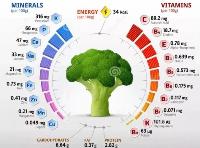 Nutritional value 