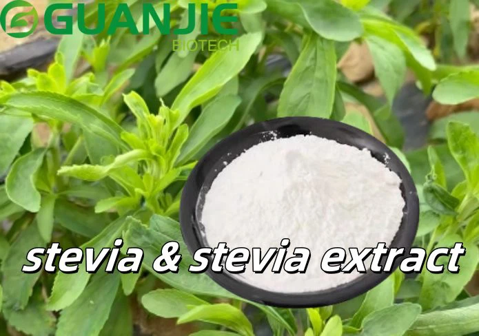 stevia and stevia extract stevia and stevia extract