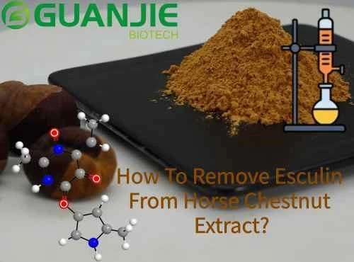 How To Remove Esculin From Horse Chestnut Extract How To Remove Esculin From Horse Chestnut Extract